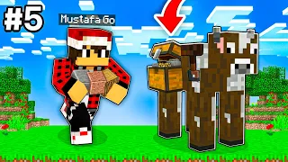 كلاود كرافت 5 سويت اغرب مخزن في العالم 