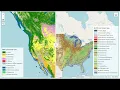 Creating map legends using leafmap with only one line of code