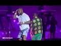 Davido - CHAMPION SOUND feat Focalistic (Live) | Road To Afro Nation: Davido LIVE
