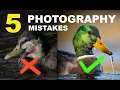 5 TOP MISTAKES IN BIRD PHOTOGRAPHY I WISH I KNEW ABOUT WHEN I STARTED Tips for better pics