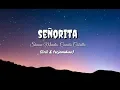 Download Lagu Señorita - Shawn Mendes, Camila Cabello (lirik \u0026 terjemahan bahasa indonesia)
