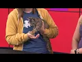 Humane Ohio s 20th anniversary kittens community and celebration Good Day on WTOL 11