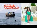 Download Lagu BEAUTIFUL WASINI ISAND/ Dolphins, Boat Party, Snorkeling, DianiSeaLodge