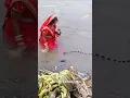 Download Lagu ❤️ Chhath Puja Mein Snake 🐍 #4k Chhath Puja Status 🙏✨♥️ #song #shorts #chhathpuja #Chatsworth#chhath