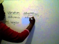 Evolution Study Guide