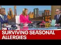 Surviving seasonal allergies What to know