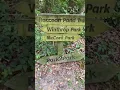 DAN MARKEL MURDER - Drainage Ditch Behind 2116 Trescott and Ashford Apartments in Tallahassee