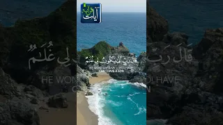يا زكريا إنا نبشرك بغلام سورة مريم للشيخ مشاري العفاسي دندنها