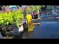 Lowes Garden Dept