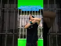 Download Lagu Heartbreak Anniversary Dance tutorial