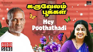 hey poothathadi song karuvelam pookkal ilaiyaraaja nasser radhika uma ramanan