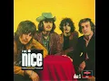Flower King Of Flies - Original