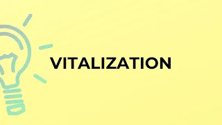 What Is The Meaning Of The Word VITALIZATION 