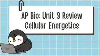 Unit 3 AP Biology Review