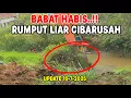 Download Lagu SEMAKIN KEHILIR RUMPUT LIAR SEMAKIN LEBAT || EXCAVATOR MULAI MEMASUKI WILAYAH BEKASI