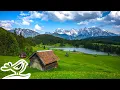 Lagu Beautiful Piano Radio 🎹 Relaxing Music for Sleep, Studying \u0026 Relaxation 24/7