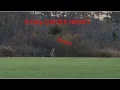Georgia 3-day QUOTA HUNT CAMPING DEER EVERYWHERE