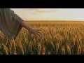 Now We Are Free – Gladiator | Serena Belle Cover (Extended Fan Edit)