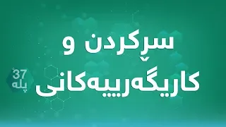 سڕكردن و کاریگەرییەکانی 