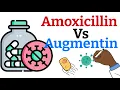 Amoxicillin or Augmentin Choosing the Right Antibiotic