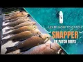 Download Lagu Catching Big Mangrove Snapper: Florida Keys Patch Reef Fishing Tips