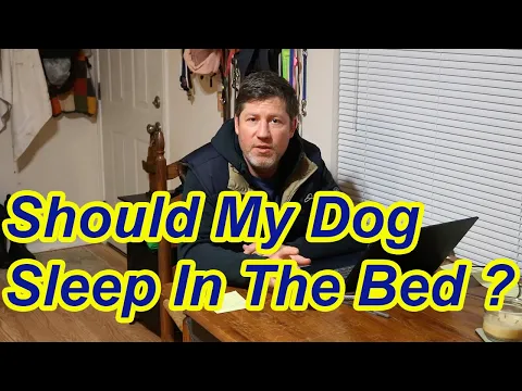 Should My Dog Sleep in My Bed