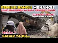 Download Lagu TAK KUASA MENAHAN AIR MATA PEMILIK BANGLI MENANGIS LIHAT BANGUNANYA RATA DENGAN TANAH