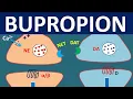 Bupropion Wellbutrin - How it works Uses Side effects and Precautions