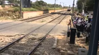                                        دندنها