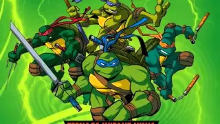 Teenage Mutant Ninja Turtles 2003 Theme Song HQ 