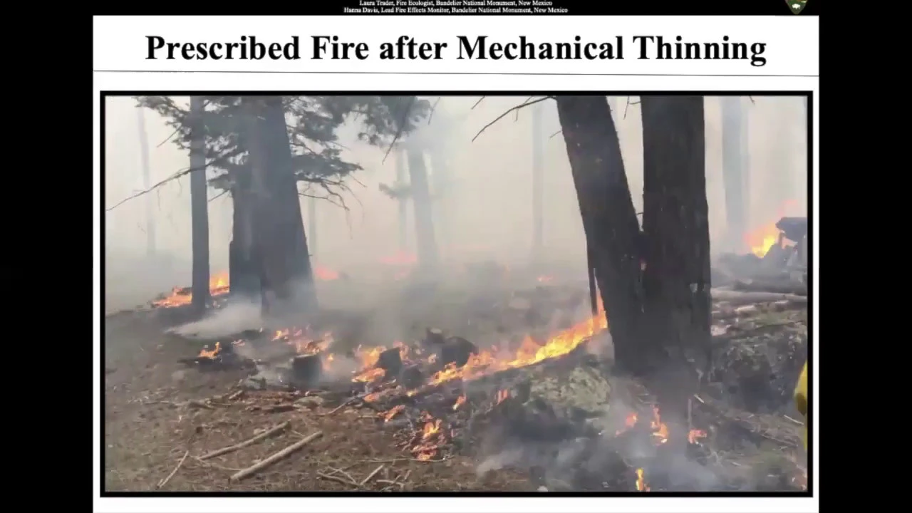 Precipitation, Humidity, and Wildland Fire