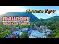 Download Lagu KAMPUNG TERTUA DI NAGEKEO SELATAN FLORES | drone dji avata keliling kampung
