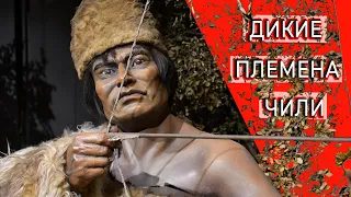 Огненная Земля. Вымершие индейцы, холода, бобры. Самый южный музей мира