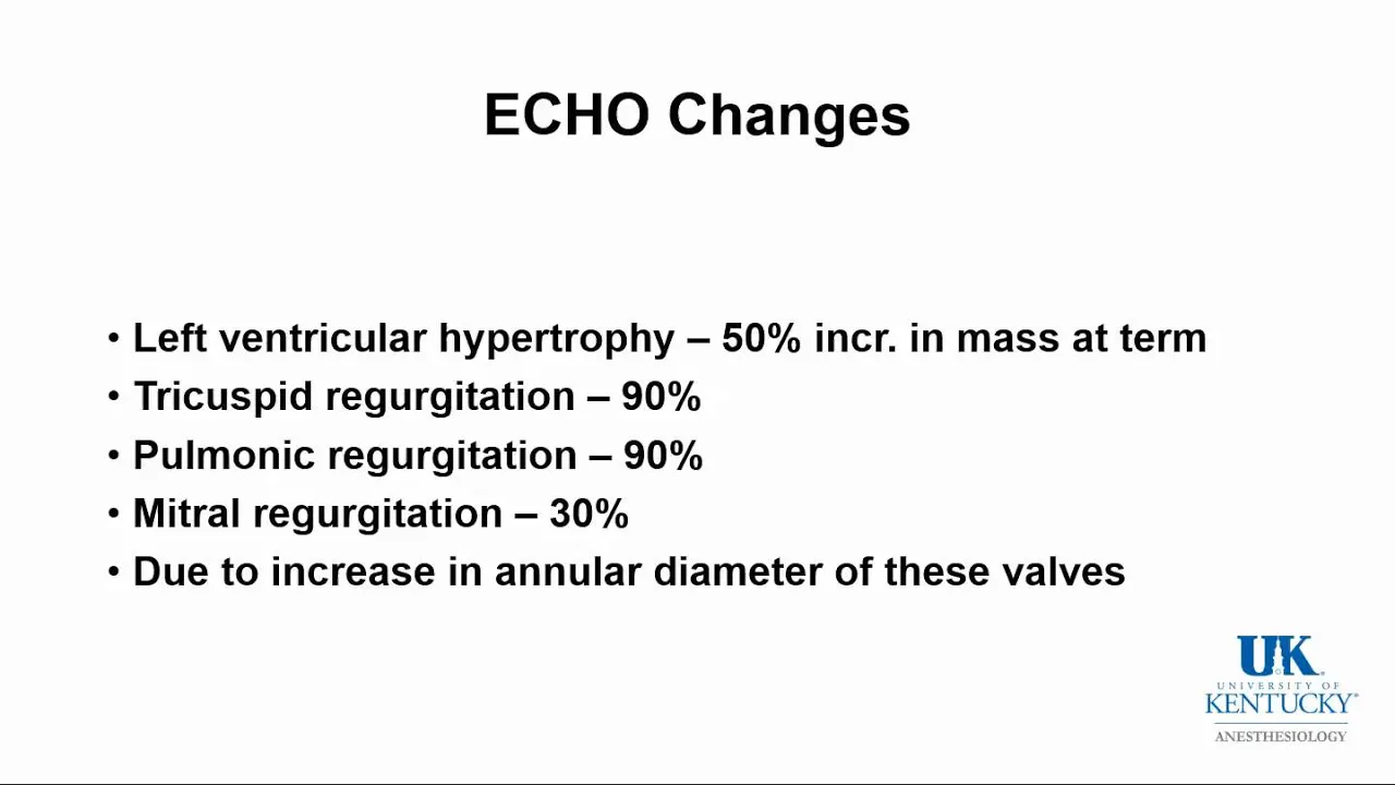 Physiology of Pregnancy - Dr. Fragneto