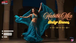 Yalla Habibi Remix 2025 Best Arabic House Chill Vibes 