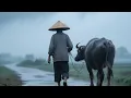 Download Lagu On A Rainy Day, The Old Man Leads His Cow Home!