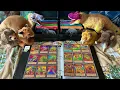 Smilo s Weird n Wild Creatures Cards Complete Collection