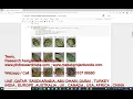 How to classify potato leaf disease using python potato leaf disease Python project