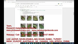 How to classify potato leaf disease using python potato leaf disease Python project