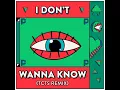 I Don't Wanna Know (TCTS Remix) - Punctual