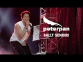 Download Lagu Peter Pan - Sally Sendiri