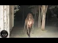 Extreme Horror s That Skeptics Can t Explain