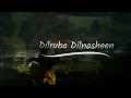 DILRUBA DILNASHEEN - Dilfek- RITO RIBA / Siddhant kaushal/ Arjun & Anshul Garg 