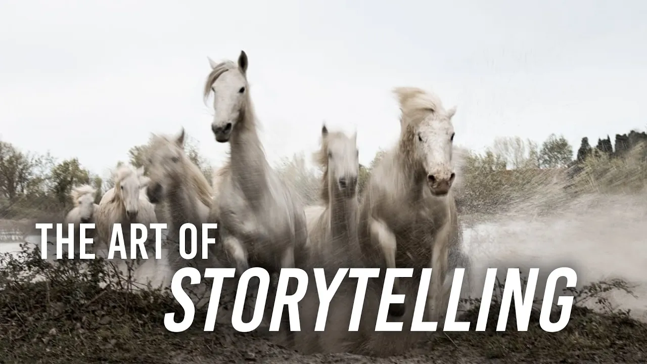 Photography to Cinematography | How to Tell Stories From Behind the Lens