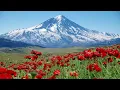 هدف نتا نیا هو از سفر به واشنگتن : حمله ای دیگر ؟!