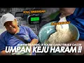 Download Lagu PANTES AJA UMPAN HARAM INI DILARANG DIMANA2 !! TERNYATA EMANG GACOR BANGET || Am#639