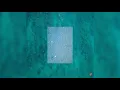 Jimmy Brown - No One (feat. Minshik)
