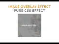 Css Image Overlay Effect Pure CSS