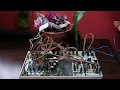 23.2.6-  Plant-Based Lunch Drone (Ambient Eurorack)