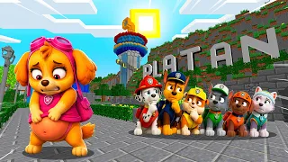 DESCUBRO A SKYE DE PAW PATROL EMBARAZADA EN MINECRAFT 😱